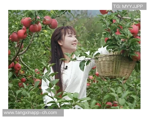 糖心app直播下载绿色-糖心app直播下载绿色,体验纯净的在线直播世界-糖心app直播下载绿色版